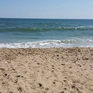 Meet your Posher, Thea